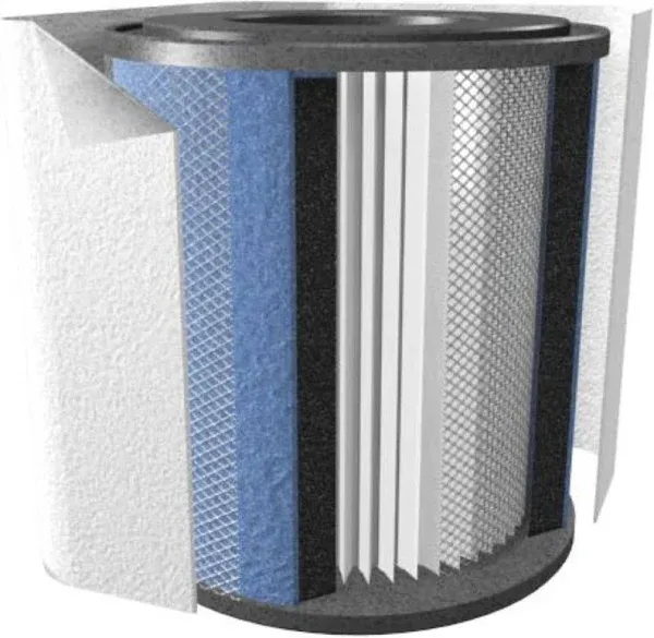 Austin Air HealthMate Replacement Filter FR400B