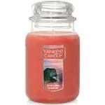 Yankee Candle Cliffside Sunrise Large Jar- From the Last Paradise Collection NEW