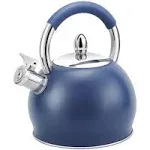 HRHongRui Whistling Tea Kettle