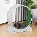 Cat treadmill exercise wheel with anti-slip carpet