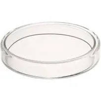 Glass Petri Dish Petri Plates Tissue Culture Plate 5 Pcs (90 mm)