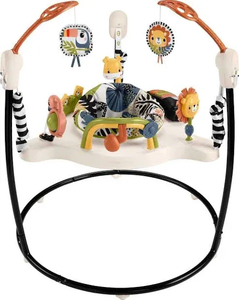 Fisher Price Jumperoo Activity Center, Luv U Zoo