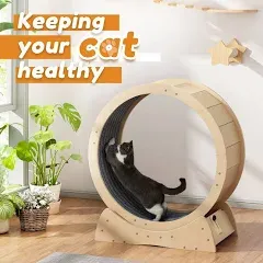 Cat Exercise Wheel Pet Wooden Exercise Wheel W/ Movable Carpet &  Mute Wheels  | eBay