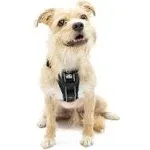 Kurgo Tru-Fit Smart Dog Walking Harness - Black - S