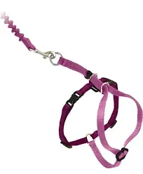 PetSafe Come with Me Kitty Harness Bungee Leash