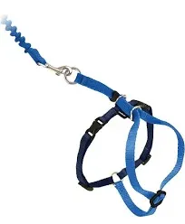 PETSAFE COME WITH ME KITTY HARNESS &amp; BUNGEE LEASH LARGE CATS (g7)