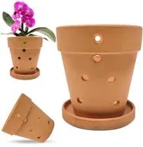 Wild Roots Co. 5-Inch Terracotta Orchid Pots