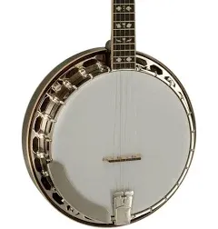 Recording King Bluegrass Series RK-R20 Songster Banjo