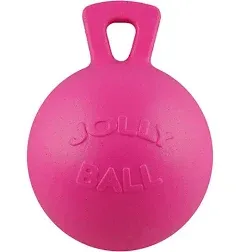 Horsemen's Pride Jolly Ball Peppermint 10 Inch