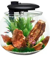 Penn Plax Aqua-Sphere 360 Acrylic Bowl-Shaped Aquarium