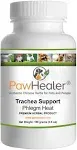 PawHealer Trachea Support Dog Cough Remedy - used for Loud, Honking Cough -100 Grams/Powder