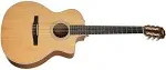 Taylor 214ce-N - Natural