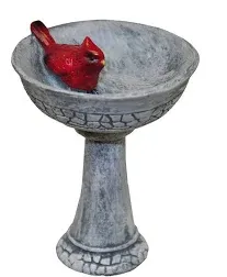 G & F MiniGardenn Fairy Garden Miniature Cardinal Birdbath Pick