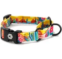 Packleader Martingale Dog Collar