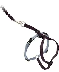 PetSafe Come With Me Kitty Harness and Bungee Leash, Medium, Royal Blue/Navy New