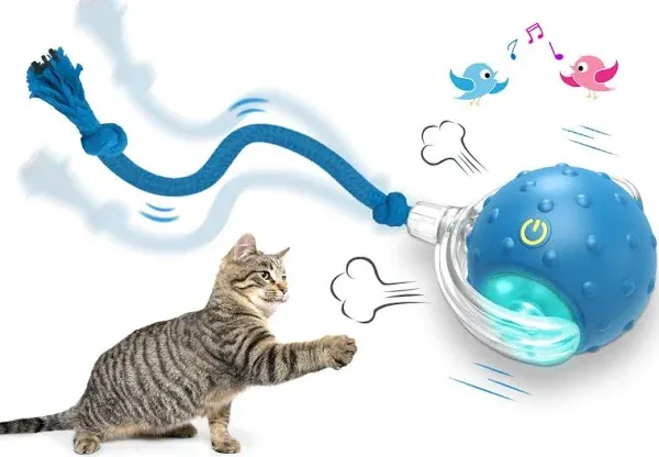 Giociv Interactive Cat Toys Ball