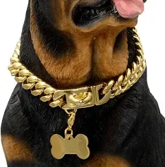 Gold Dog Chain Collar Walking Metal Chain Collar With Design Secure Buckle, 18 K