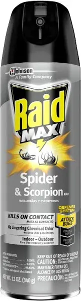 Raid Max Spider & Scorpion Killer