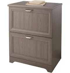 Realspace Magellan 2-Drawer Lateral File Cabinet