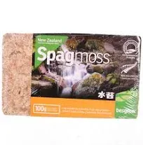 Besgrow Spagmoss