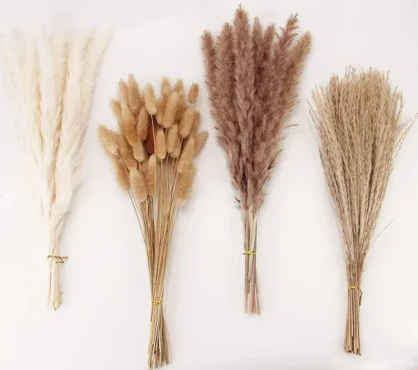 Dried Pampas Grass Decor, 100 PCS Pampas Grass Contains Bunny Tails Dried Flo...