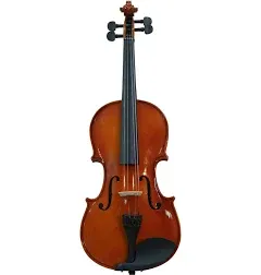 Cecilio Purple Violin W/Case (ML1073660)