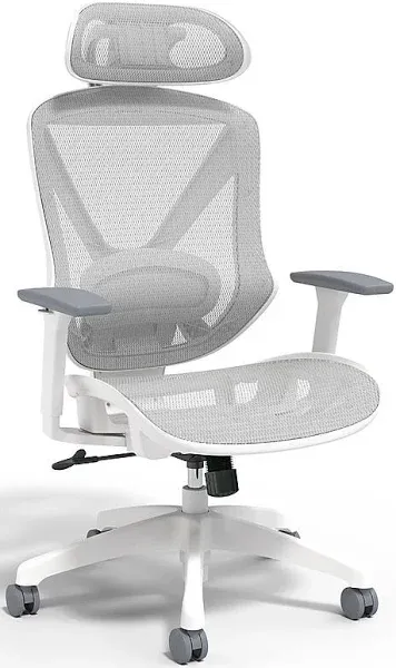 Union & Scale Flexfit Dexley Mesh Task Chair