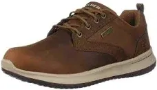 Skechers Delson 1.0 Men's Casual Shoes Men Low-Top Dark Brown