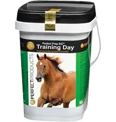 Perfect Prep EQ Training Day