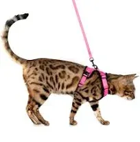 MeWO Kitten Leash and Harness Set - Escape Proof, Reflective, Adjustable for a Safe & Snug Fit - Small Cat Harness and Leash Set Cat Leashes and Harnesses for Walking Outdoors Kitten Harness and Leash