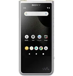 Sony Walkman 64GB Hi-Res ZX Series Audio Player NW-ZX507 Silver English Language