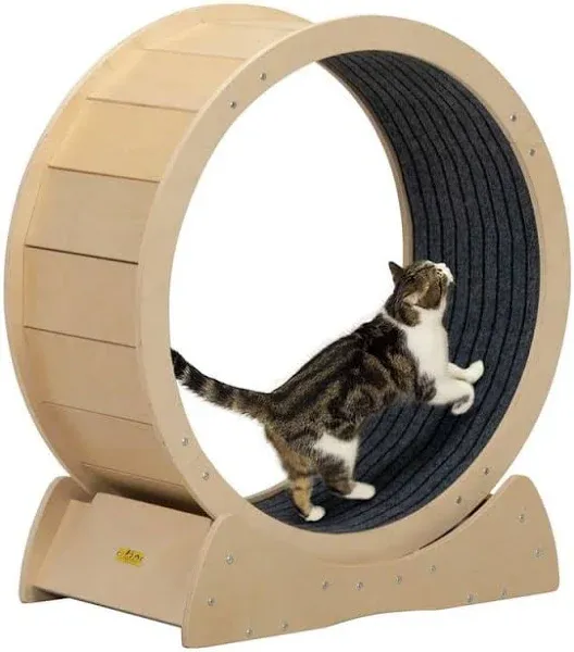 COZIWOW Cat Exercise Wheel Cat Treadmill Fitness Weight Loss Device for Cats  | eBay