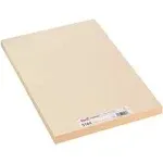 Pacon Medium Weight Tagboard 18 x 12 Manila 100/Pack