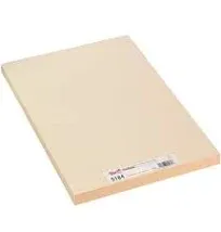 Pacon Medium Weight Tagboard