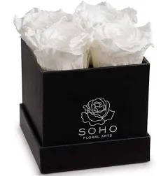 SOHO FLORAL ARTS New Roses Preserved Flowers | Genuine Roses That Lasts Years