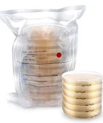 Prepoured Malt Extract Agar Petri Dishes (MEA) for Mushroom Cultivation, Petri Dishes with Agar (10 Prepoured Agar Plates)