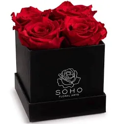 Soho Floral Arts | Roses In A Box | Genuine Roses that Last for Years (Black Square 4ct, Pink) | Mothers Day Gifts