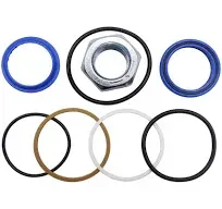 Lift Cylinder Seal Kit 7135559 for Bobcat S175 S185 S205 T190