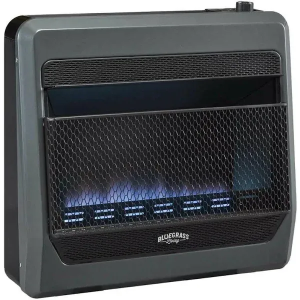 Bluegrass Living B30TPB-BB 30,000 BTU Liquid Propane Blue Flame - Black