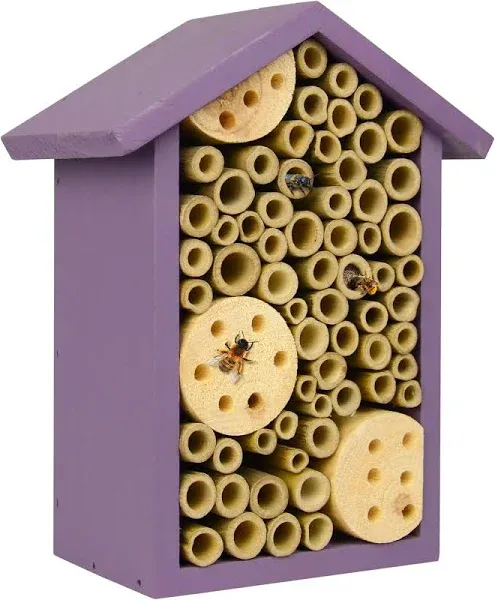 Nature's Way Bird Products PWH1-C Teal Bee House