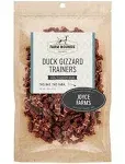 Duck Gizzard Trainers