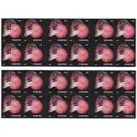 USPS Forever Stamps Star-Spangled Banner Booklet of 20 (Fireworks)