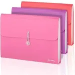 Accordion File Organizer, 13 Pocket Expanding File &amp; Cover Folder with Labels...