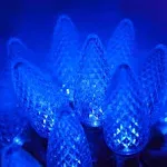 Wintergreen Lighting 25 Light C9 LED Christmas Lights, Blue