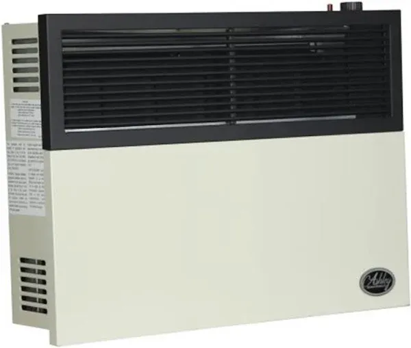 Ashley 17,000 BTU Direct Vent Natural Gas Wall Heater