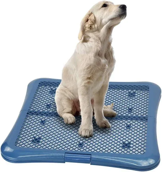 Training Pad Holder Floor Protection Dog Pad Holder Mesh Training Tray M-18&#034;x...