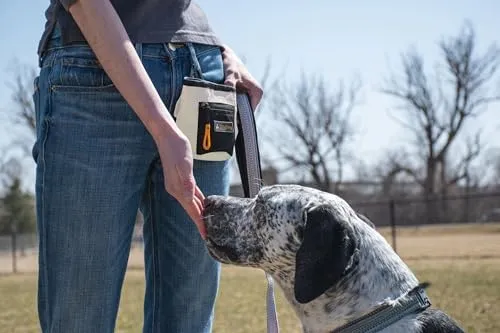 OllyDog Goodie Treat Bag