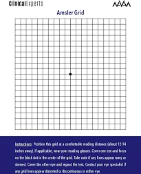 Amsler Eye Grid with Magnetic Back - Daily Vision Screening Tool for Macular Degeneration & Glaucoma Patients by Clinical Experts (1 Pack)