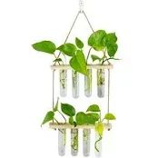 Hanging Plant Propagation Stations Tubes, Glasseam Wall Glass Planter Terrarium with Wooden Stand Propogation Station Vases Test Tubes for Plants Propagate Hydroponics Air Flower, 2 Tier