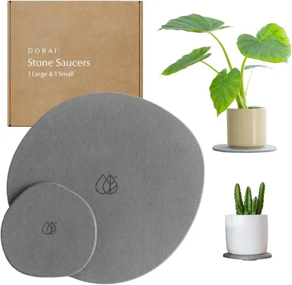 Williams Sonoma Dorai Home Plant Saucer Set of 2